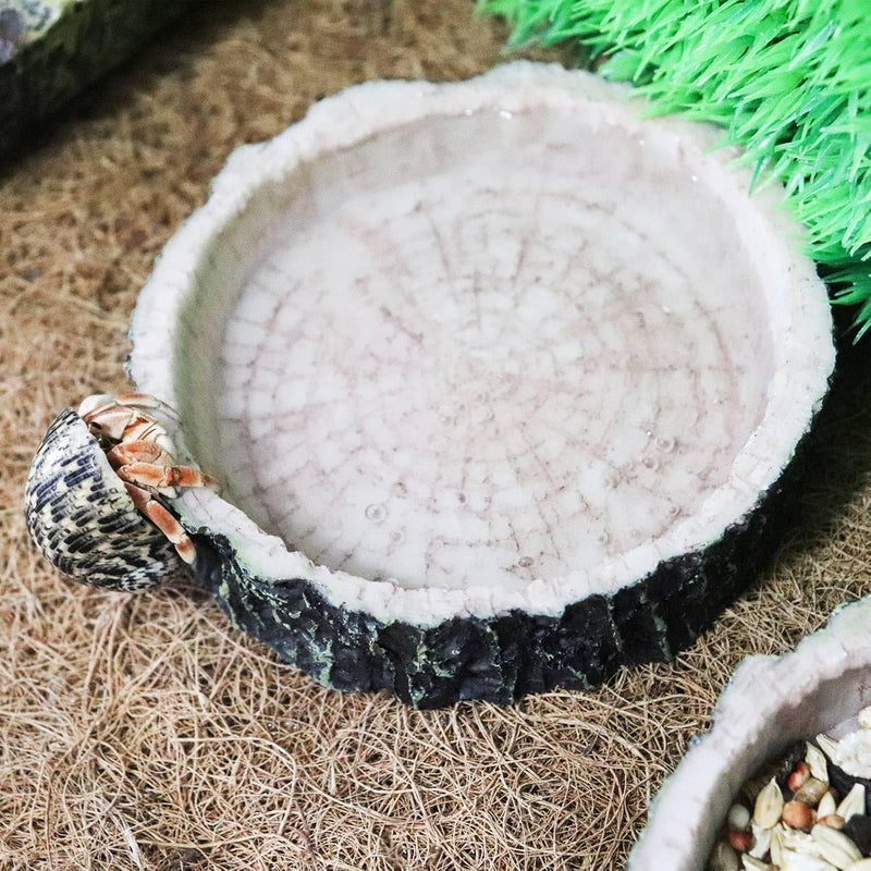 Neeenn 3 Pack Reptile Water Dish Food Bowls, Hermit Crab Food Dish with Feeding Tongs, Bearded Dragon Water Bowl, Suitable for Hermit Crab Lizard Gecko Tortoise Turtle Frog Leopard Crested Gecko - Image 4